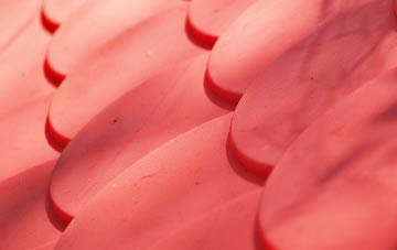 Bucks Horn Oak plastic roof costs